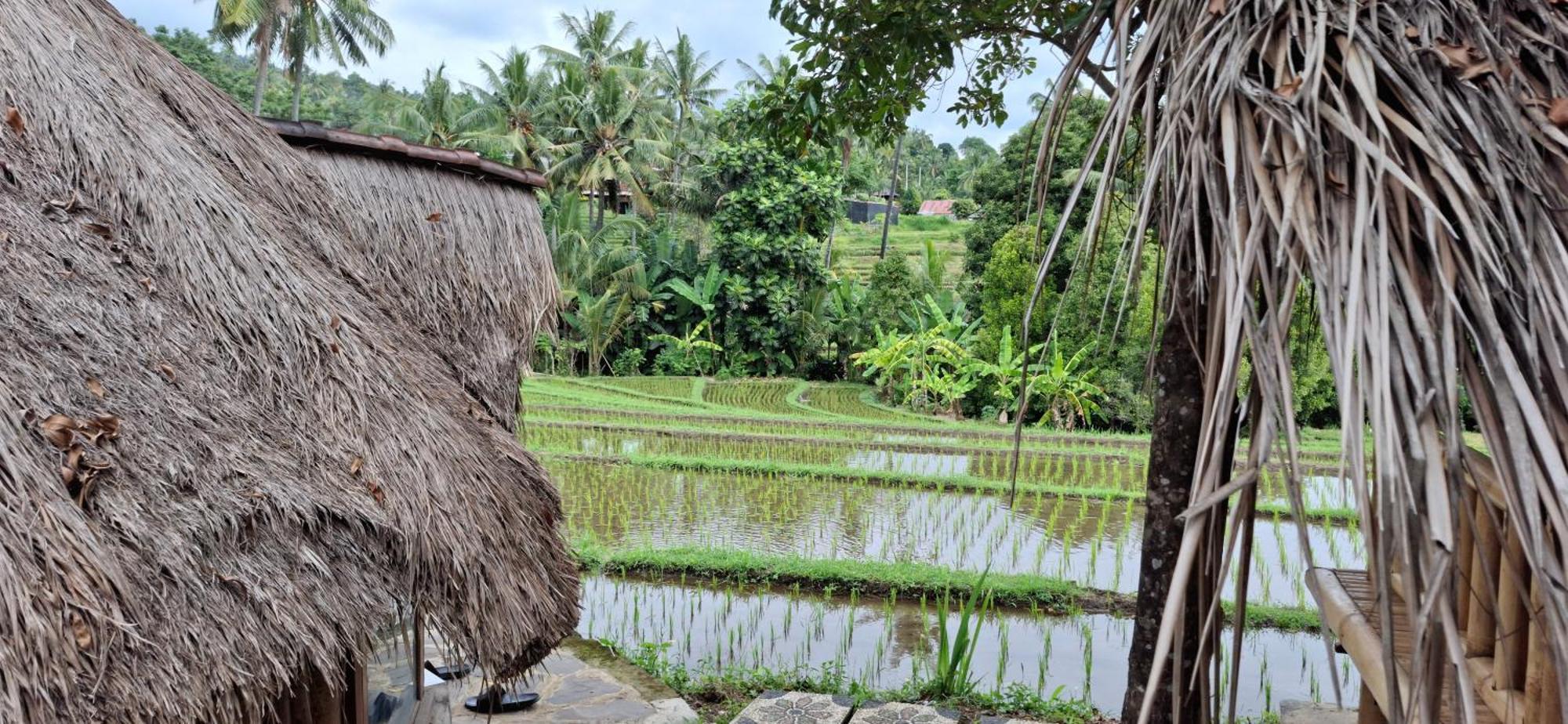 Hotel Uma Nirmala Aling-Aling Singaraja Exterior foto