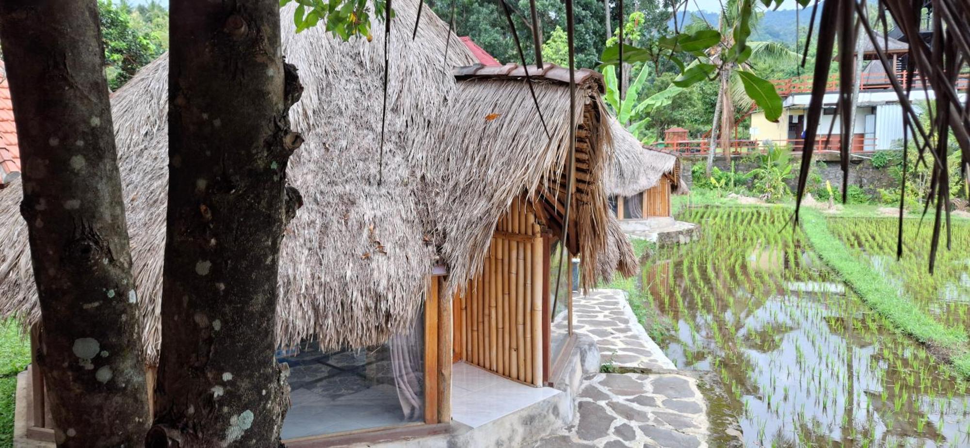 Hotel Uma Nirmala Aling-Aling Singaraja Exterior foto