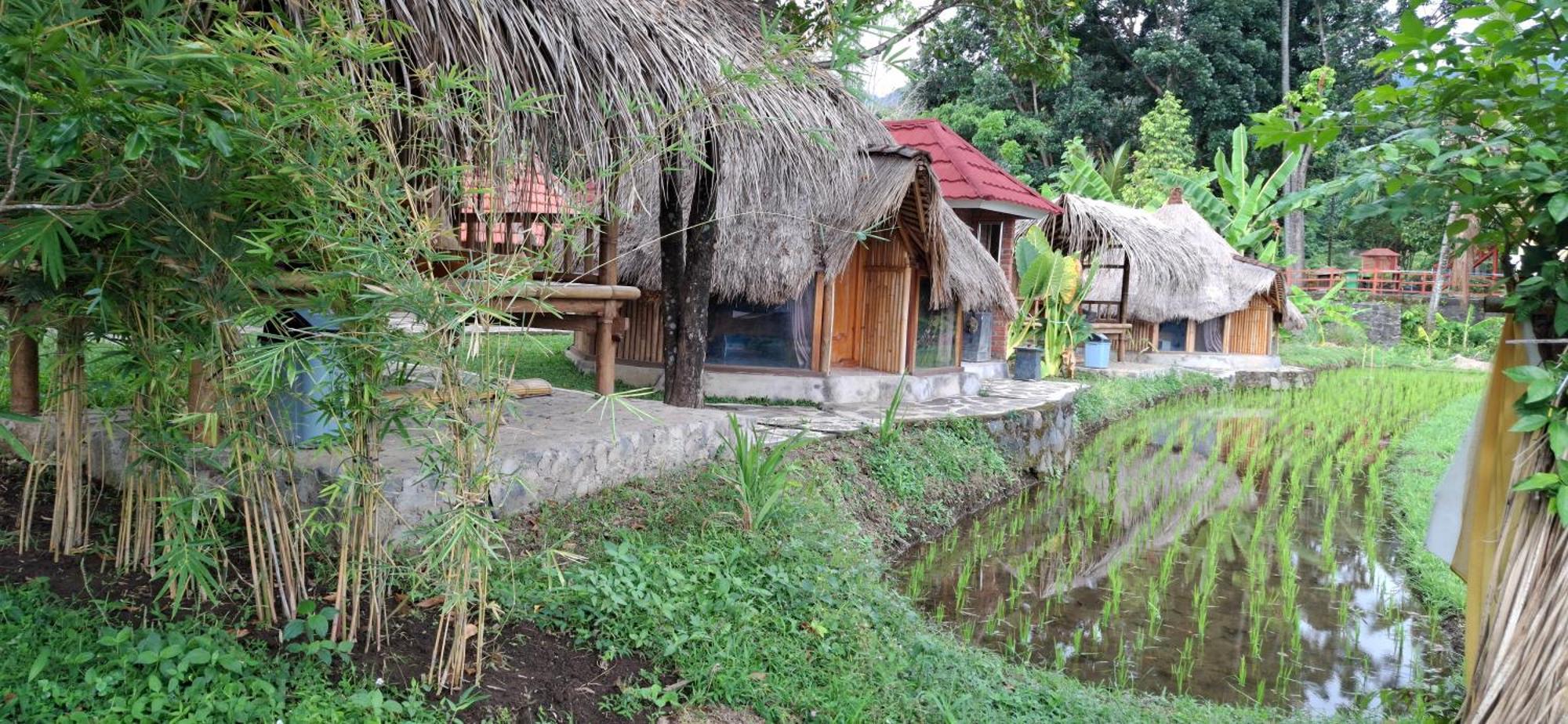 Hotel Uma Nirmala Aling-Aling Singaraja Exterior foto